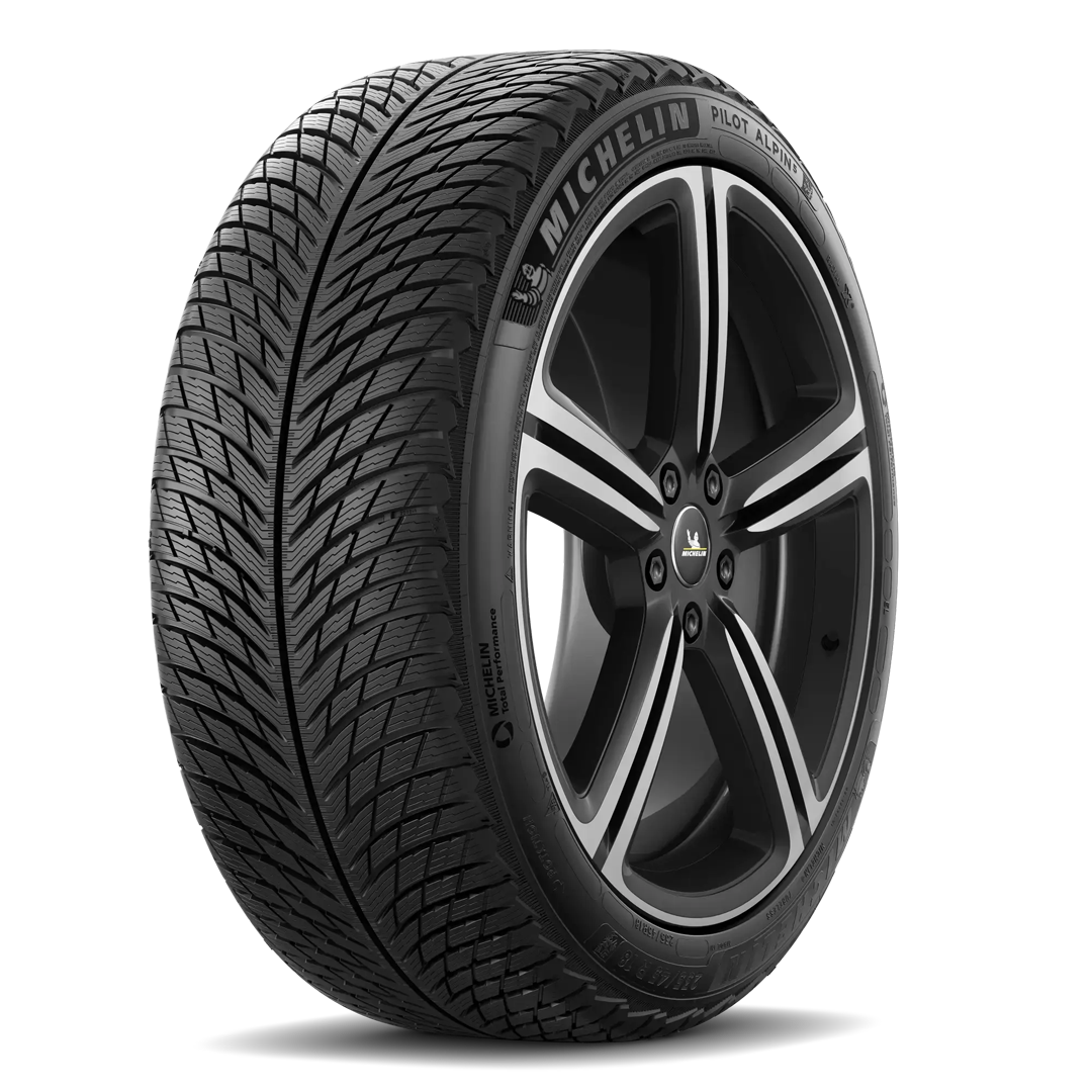 Michelin Pilot Alpin 5